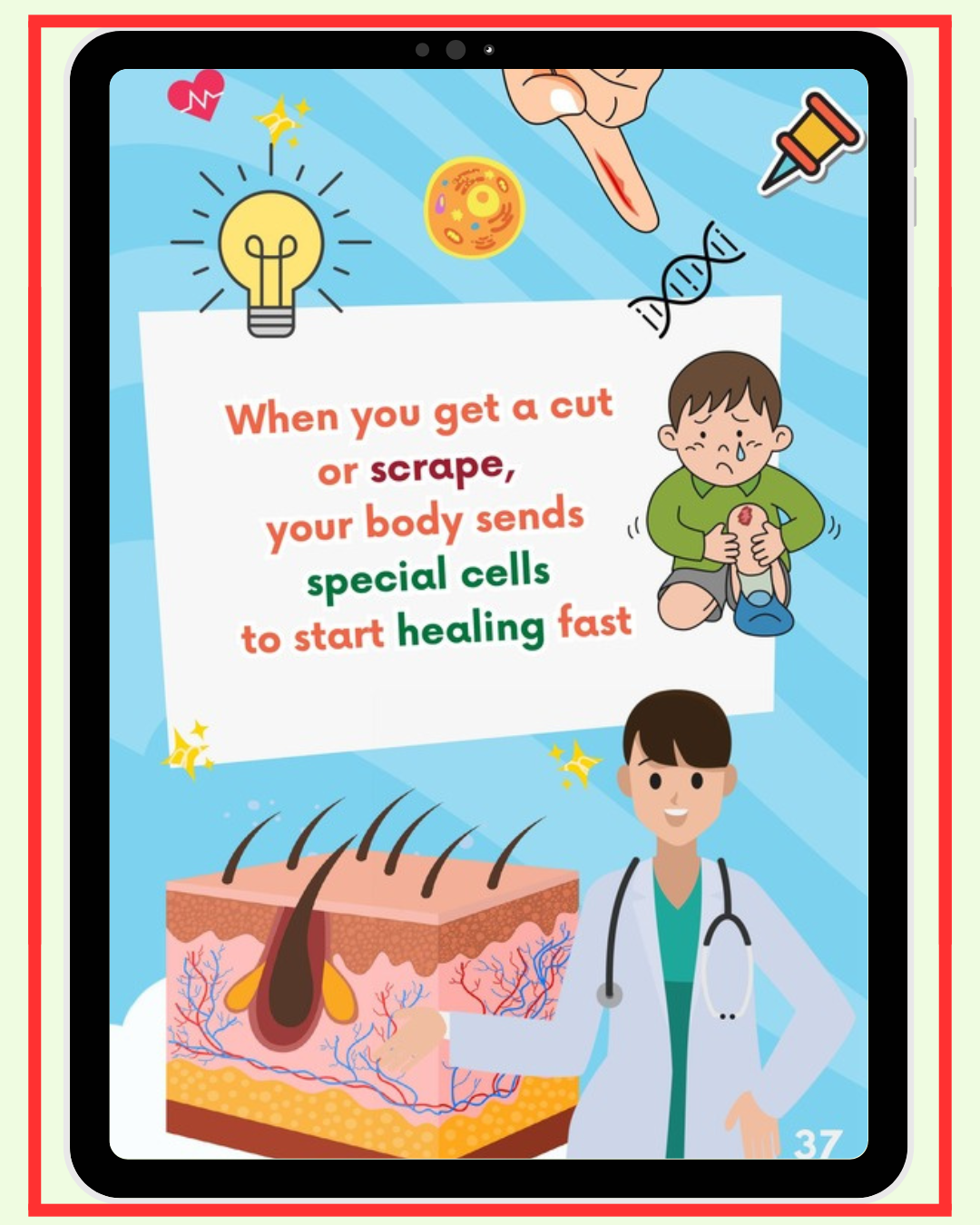 Basic First Aid Skills: Fix Cuts, Burns, and Emergencies with First Aid - My Brighter Minds